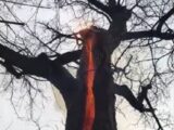【衝撃動画】幹の内側だけメラメラ燃える「悪魔の木」!? 魔女の仕業か、自然現象か?=米・オハイオ州
