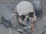 14世紀に実在した「吸血鬼」の遺体が発見される!  膝が破壊され、背骨に杭…考古学者も困惑!=ポーランド