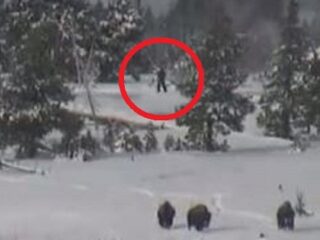 ビッグフットが今度はアメリカに現る？公園を散歩する4体の謎の巨人！