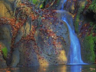 古代人は“ブルー”が見えなかった？ ～青色の認識でわかる、色と言語の不思議～