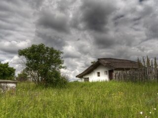 40歳になるとアルツハイマー病を発症する村 ― 近親婚が原因か？