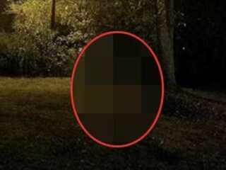 幽霊？妖精？ “海外版・小さいおっさん”の猛ダッシュ姿が激写される！＝米
