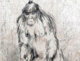 イエティ研究に本気で科学者たちが挑んでいる!? 謎の類人猿はやはりいるのか?