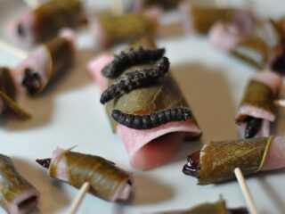 絶対に食べないと損！　「本当に美味しい昆虫ベスト5」を研究家が選出！