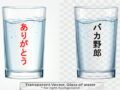 「感謝された水」と「バカと言われた水」を工学博士が徹底分析！ 驚愕結果「人の意識や言葉は原子変換を起こす」