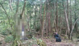 【閲覧注意】ミイラ、腐乱死体、ぬいぐるみ……1000体以上の死体を撮った死体写真家・釣崎清隆が樹海で見たものとは!?