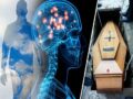 輪廻転生が実在することが量子論で判明！ 専門医「死後、あなたの意識は次の人の脳に張り付く」