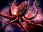 『タコの進化にはエイリアン・ウイルスが関与している可能性が高い』複数の研究者が提唱！