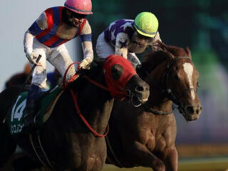 【証拠画像がヤバイ！】フェブラリーステークス　勝ち組だけが知る超リアル裏情報！