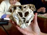 奇怪すぎる「ロドピの頭蓋骨」の謎! 大学教授による検証も“正体不明”、 古代文明の遺伝子操作か!?=ブルガリア