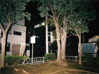 電柱に突き刺さって死んだライダーの幽霊が出る交差点！ 現場周辺に白いモヤ、犬も怯えて…