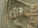 苦悶の表情、不自然に曲がった骨…寺院で発掘された6体の遺骨! プレ・インカ文明、凄惨な生贄儀式が明らかに=ペルー