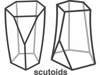 まったく新しい形「スキュートイド多面体」が発見される！ 高エネルギー効率・安定・密閉の最強構造！