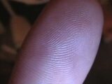 犯罪科学のエキスパートが告発!! 揺らぐ指紋鑑定の信頼性