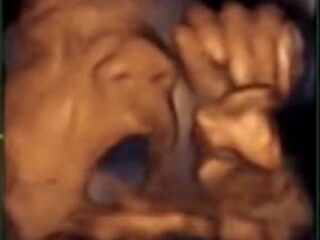 胎児はお腹の中で音楽を聴くだけでなく歌っている？ 超衝撃画像で明らかに！