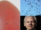 【速報】「もうすぐ悪魔の塵・スマートダストがばら撒かれる」Wikileaksアサンジが警告! 世界中が危険に!?