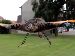 仰天！ リアル・猫ヘリコプターが飛んでくる!?