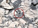 火星で次々に発見された「古代エイリアンの骨」、遂にNASAが公式見解発表! 明らかに“骨”にしか見えない物体の説明に注目集まる!