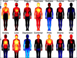 悲しいとき、人は足が冷える？　14の感情と体温の関係