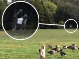 白馬の騎士の霊か? タムワース城の心霊写真と不思議な青い砂嵐