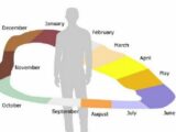 「時間を見ることができる人」が2.2%いる!? 驚異の特殊感覚が判明する!