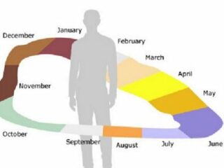 「時間を見ることができる人」が2.2%いる？ 驚異の特殊感覚が判明する！