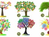 【性格診断心理テスト】6つの木の絵から1つを選択するだけで、あなたの本当の性格と能力が判明する!