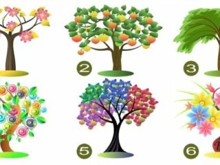 【性格診断心理テスト】6つの木の絵から1つを選択するだけで、あなたの本当の性格と能力が判明する！