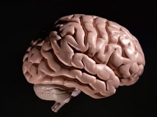 人間には無意識にウソを見抜ける能力がある？　進化する嘘発見技術