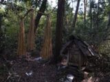 人間の頭蓋骨が祀られる広島県の廃寺に潜入取材! 住職が夜な夜な髑髏を舐め…地元民「危険すぎる場所」