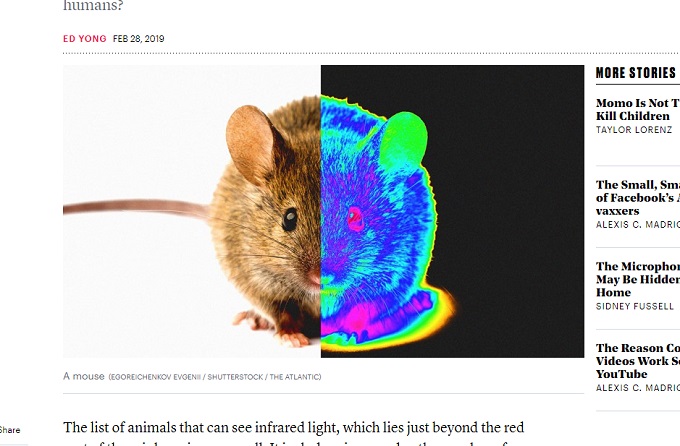 暗闇の中でも目が見える「スーパービジョンヒューマン」誕生へ！ 赤外線丸見え注射、中国が実験成功！の画像1