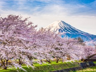 3月25～31日の運勢を爆アゲする「断捨離占い」！ これを捨てれば運気が上がる… 最強占い師Love Me Doが指南！