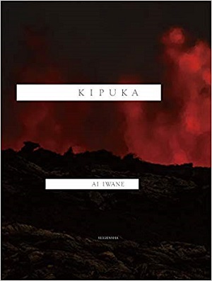 木村伊兵衛写真賞受賞！ ハワイ、福島、災害、そして再生… 絶望の時代にあって希望しかない写真集『KIPUKA』作者、岩根愛インタビューの画像1