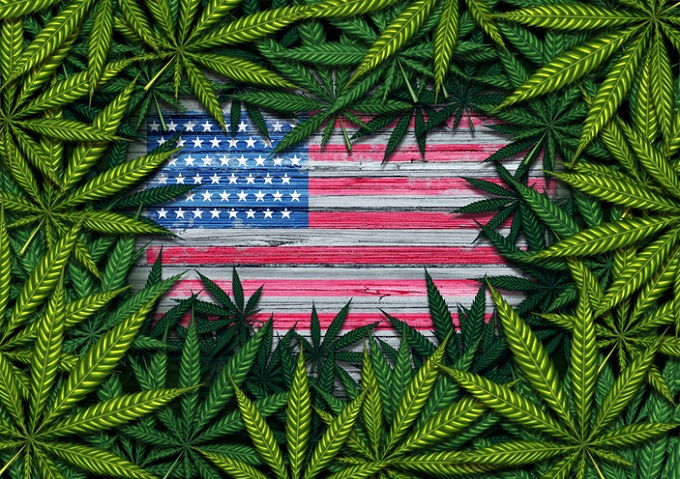 だから日本の「大麻議論」は未熟すぎる！ 米国のマリファナ行政から徹底考察せよ!!（高樹沙耶×石丸元章×野々村文宏）の画像3