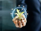【やはり】植物も思考し、選択し、記憶していることが判明! ベテランが光合成指導、量子コンピューティングも駆使… 戦慄の賢さ!