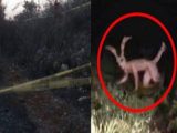 吸血UMAチュパカブラが村人を惨殺する恐怖事件発生! 足に歯型、全身の血を抜かれ… 衝撃シルエットも公開 =ホンジュラス