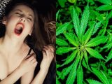 【朗報】大麻で女性のオーガズムが凄いことになるとセックス調査で判明! 300人以上を対象とした驚きの結果とは!?