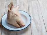 死後4時間経った豚の脳の復活に成功!意識は…”生物の死”の定義が揺らぐ衝撃実験!