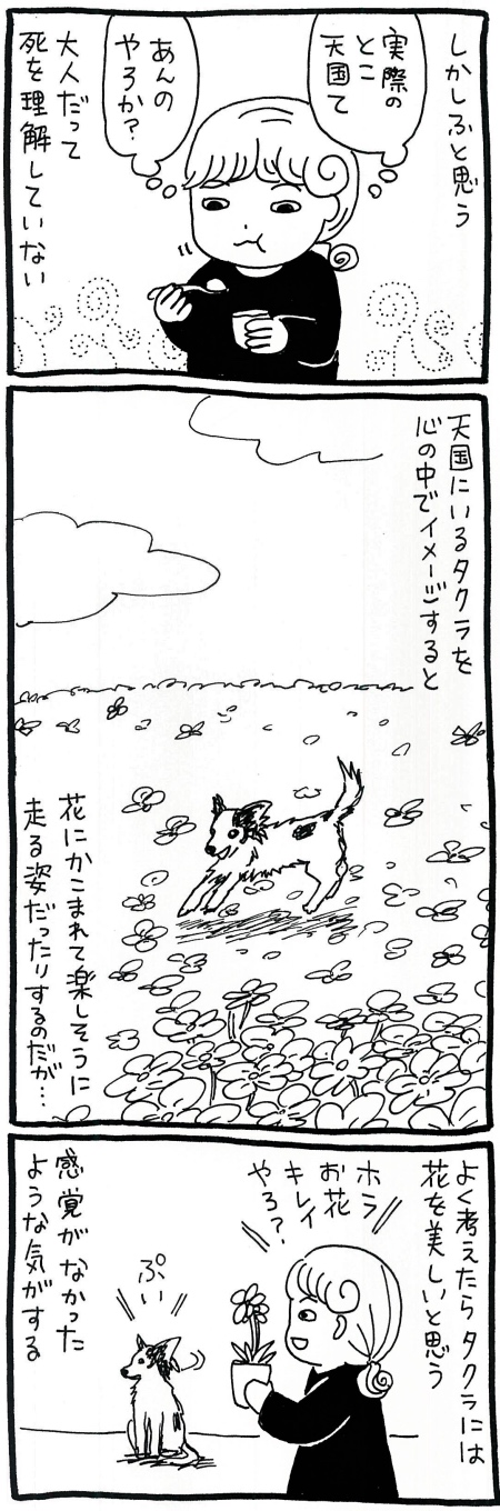 【漫画】犬と人間の死後の世界は違う!?　天国とはなんなのか、改めて問うの画像4