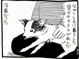 【漫画】犬と人間の死後の世界は違う!? 天国とはなんなのか、改めて問う