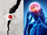 【ガチ】人間は地震予知能力を持っていることが科学で判明! 磁気を受信する第6感の存在が確認される!