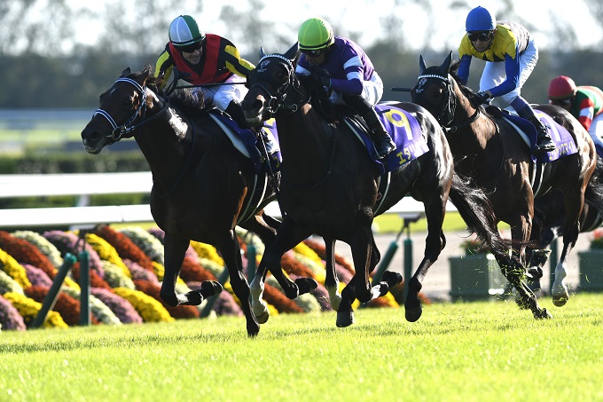 ついに「未来人」が一攫千金の極秘情報を暴露! 只今競馬でボロ儲け中、ヤバすぎる最強集団の謎に迫る!の画像5