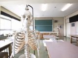【足立区500体人骨放置事件】理科室の骨格標本、昔は「人間の死体」から作られた本物だった! 学校の怪談はガチ…亜留間次郎が解説!