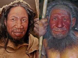 ネアンデルタール人は“共食い”して絶滅していた可能性が浮上！ 温暖化カニバリズムか… ネアンデルタール人のイメージが急低下！