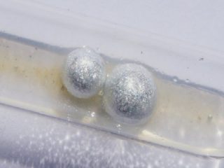 物質の概念が変わる!?  物質には「固体であり液体でもある」全く新しい状態が存在すると発覚！