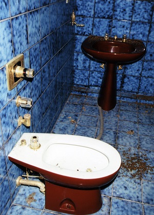 西表島に残された高倉健の隠れ家に潜入! 無残な廃墟だが、ゴルフコースに謎が…!の画像4