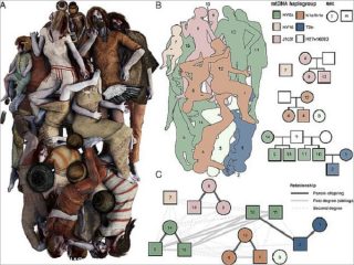 5000年前の人骨が大量出土、エグすぎる一家虐殺法が判明！ 破壊された頭蓋骨が… ヤムナヤ人が犯人か!?＝ポーランド