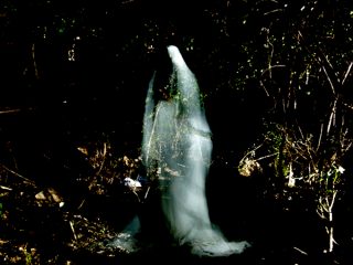 泉鏡花の墓の“お供えの酒”を飲んで寝てたら幽霊が出た！雑司ヶ谷墓地での墓酒体験記【ピスケン新連載】