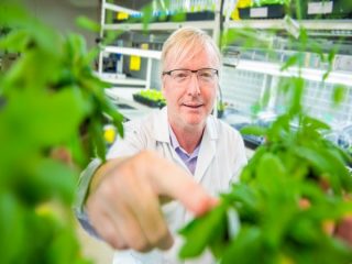 植物は実は触られるのが嫌だったと判明！ 植物にとってスキンシップは激ウザ行為だった