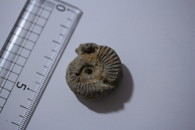 かなり楽しい!! 「岸和田だんじり会館」に村田らむが行ってみた！ 発見・驚き・テンション上がる!!の画像12